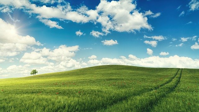超級優惠活動來囉