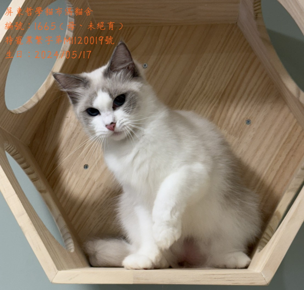 編號1665