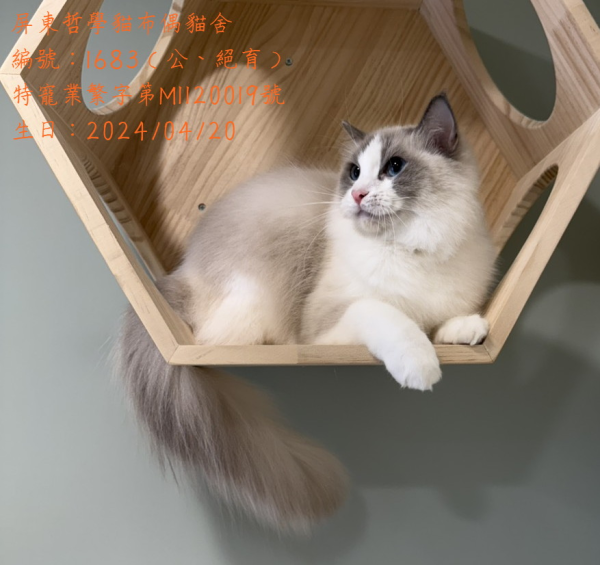 編號1683